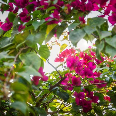 Chic Stay Hana Boutique Hotel Luang Prabang Exterior foto