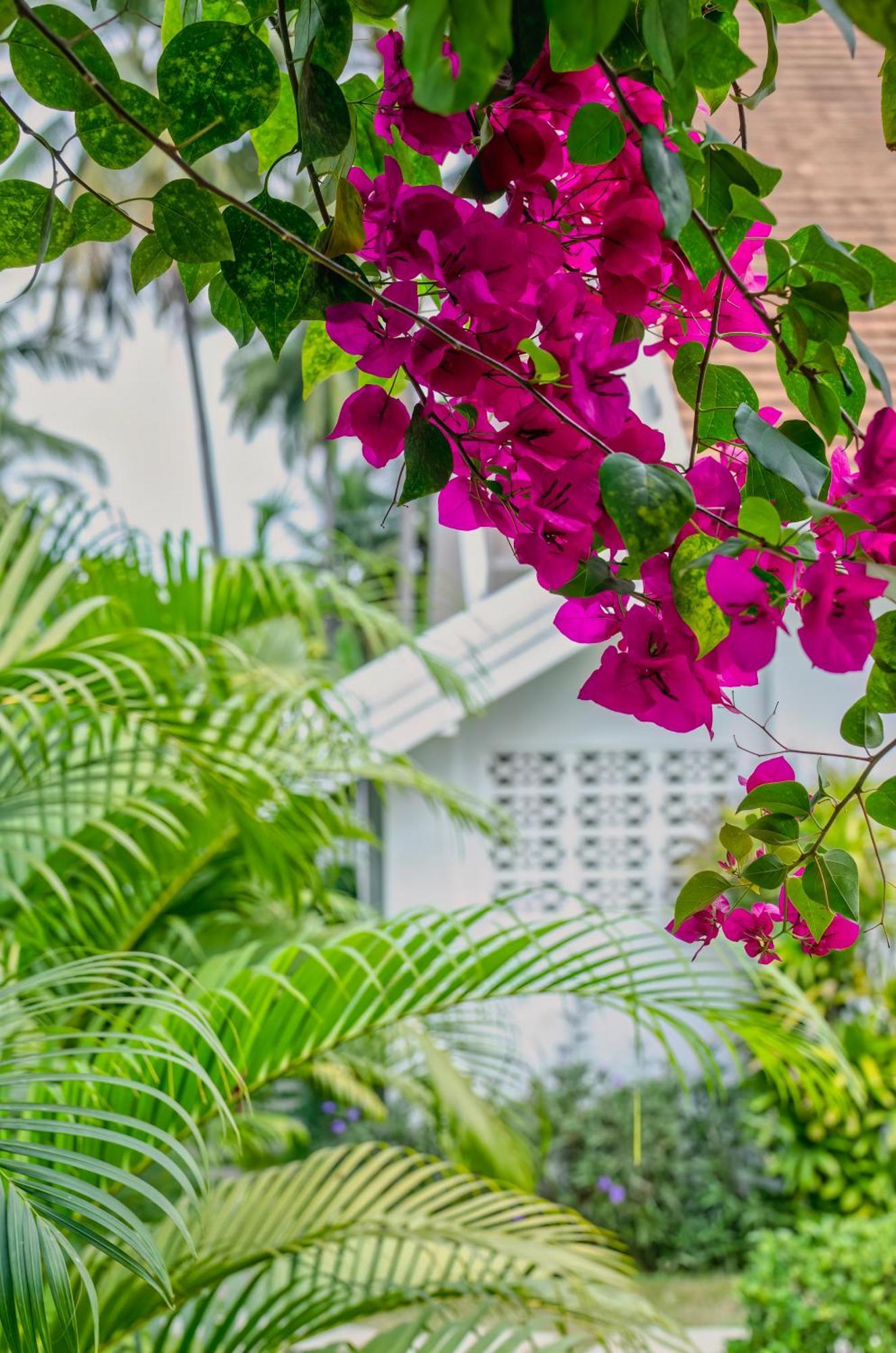 Chic Stay Hana Boutique Hotel Luang Prabang Exterior foto