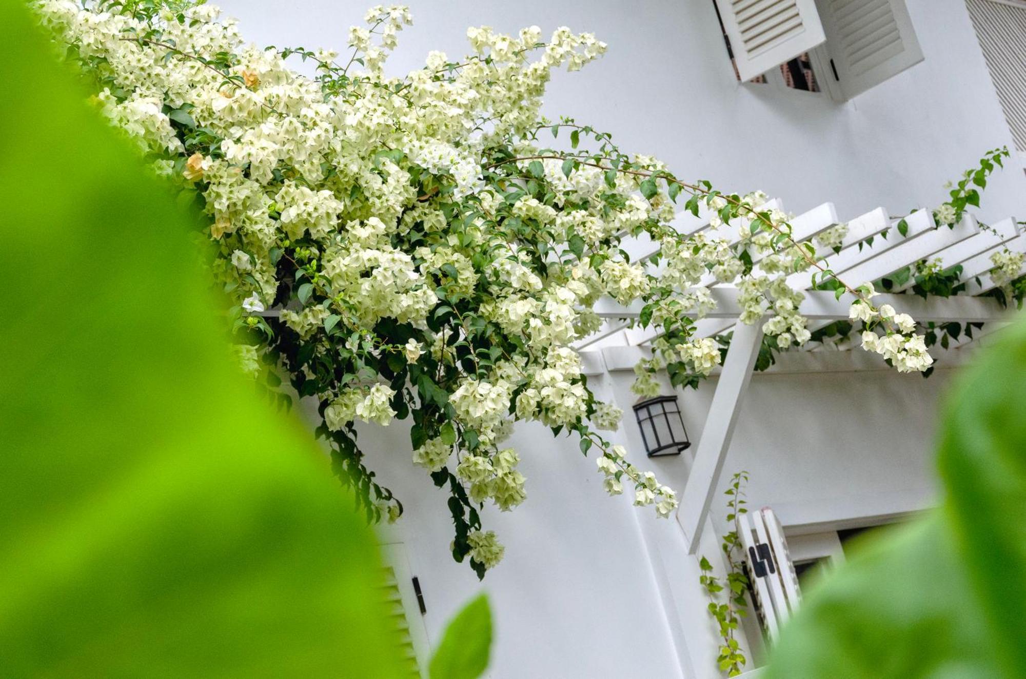 Chic Stay Hana Boutique Hotel Luang Prabang Exterior foto